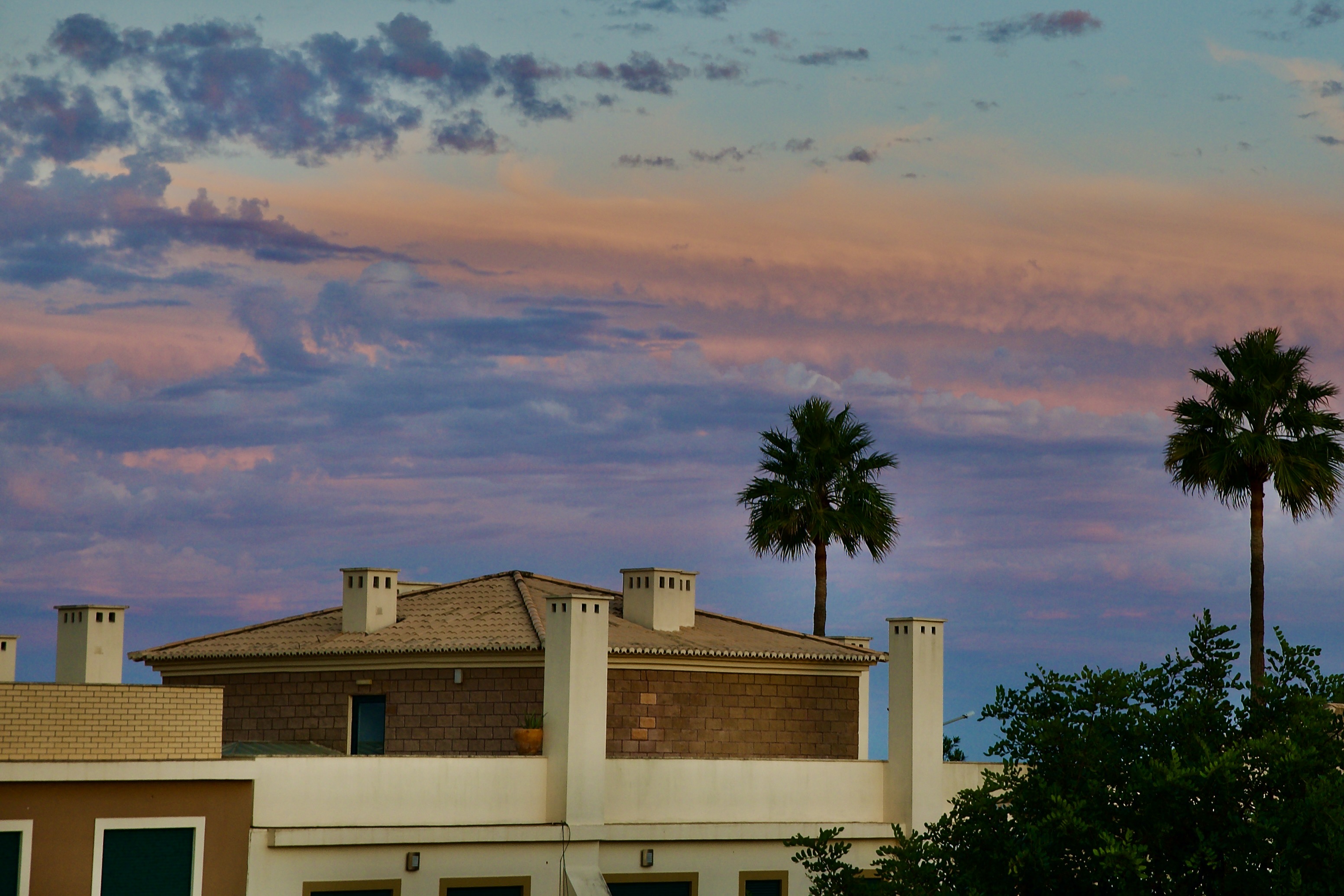 Resources and References